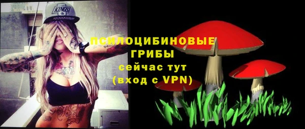 твердый Дмитриев