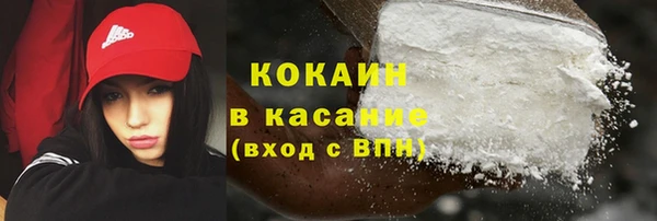 мет Дмитров