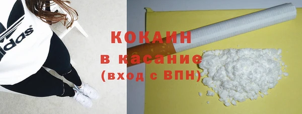дмт Гусев