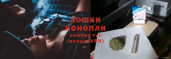 дмт Гусев