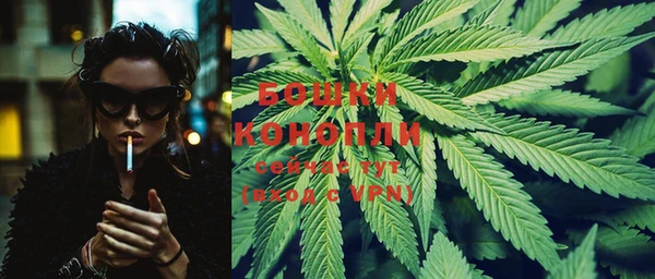 PSILOCYBIN Гусиноозёрск