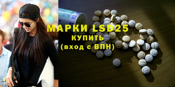 PSILOCYBIN Гусиноозёрск