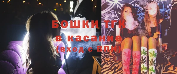 дмт Гусев