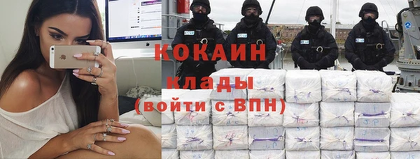 дмт Гусев