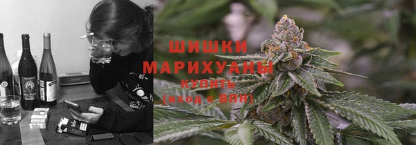 PSILOCYBIN Гусиноозёрск